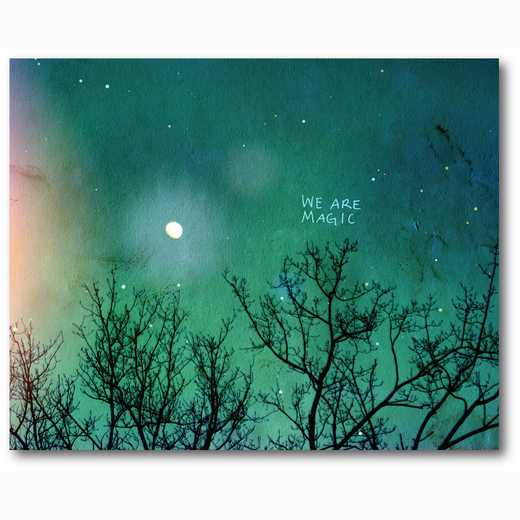 WEB-TS222-16x20: We are Magic , 16x20